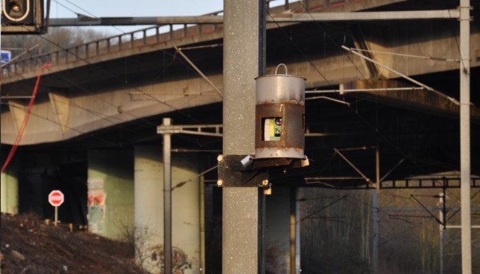 auscultation viaduc